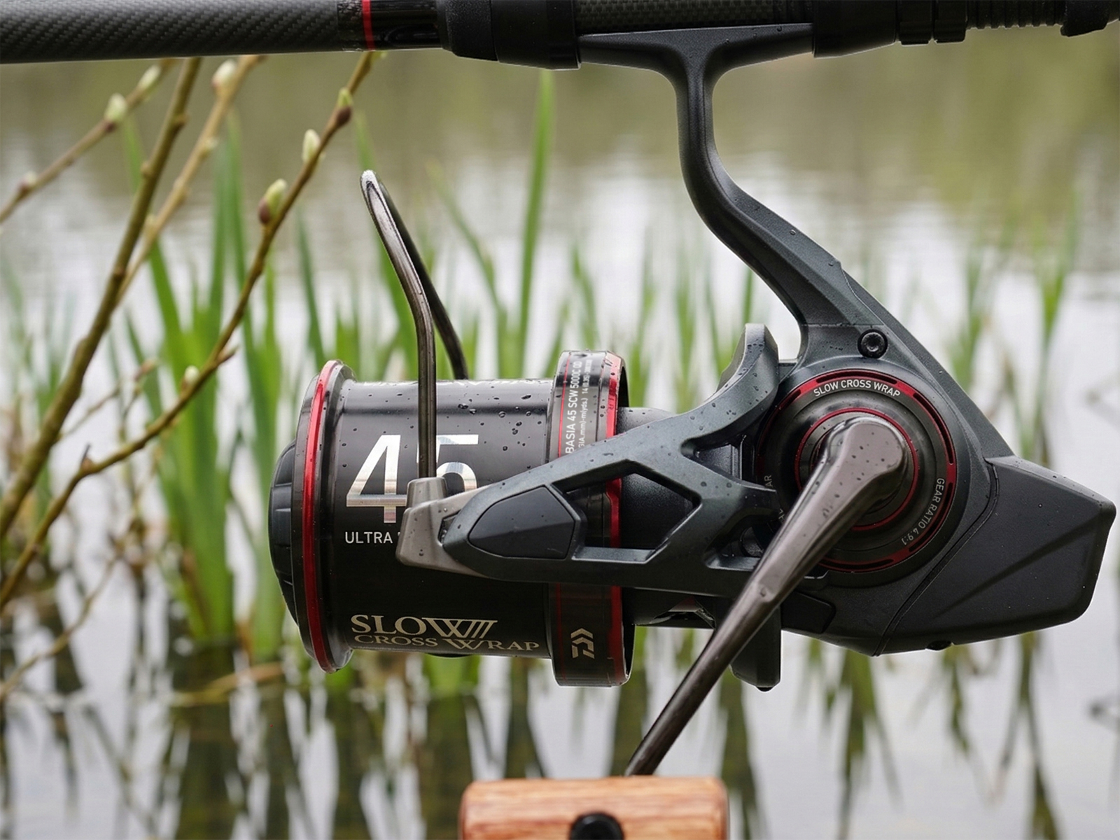 Daiwa Basia